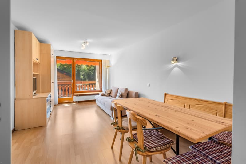 Lot de 2 studios en PPE dans quartier résidentiel calme (2)