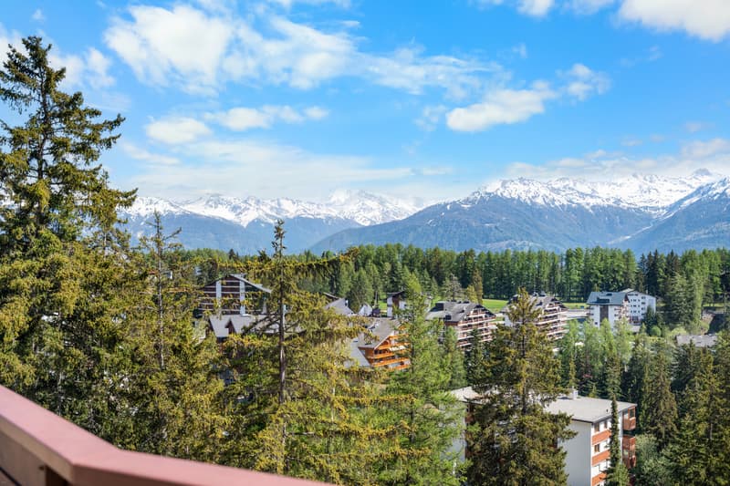 Attique entièrement rénové avec terrasse panoramique et vue imprenable (11)