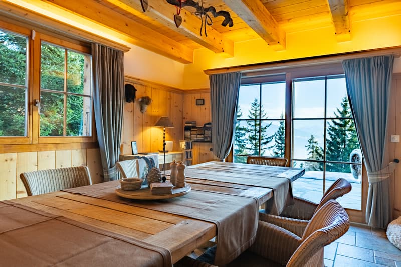 Chalet d'exception en pleine nature (3)