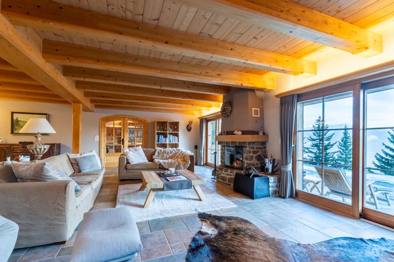 Chalet d'exception en pleine nature (2)