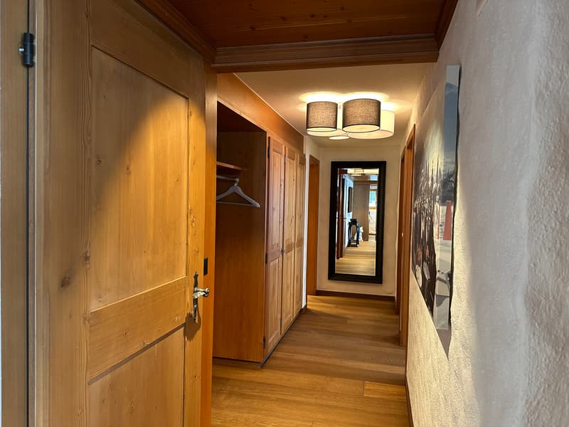 3.5 Zimmer Wohnung für Kurzzeitaufenthalte an schöner Lage (5)