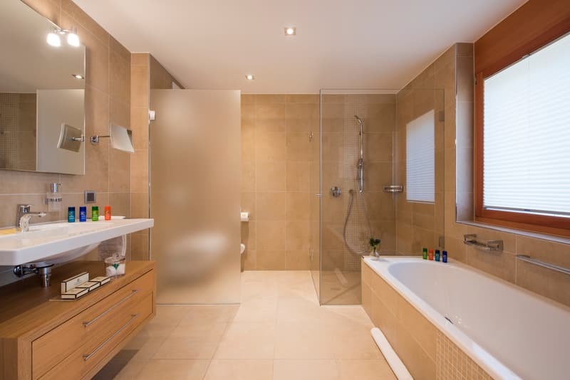Luxuriöses Chalet mit 4 Wohneinheiten und Schwimmbad (13)