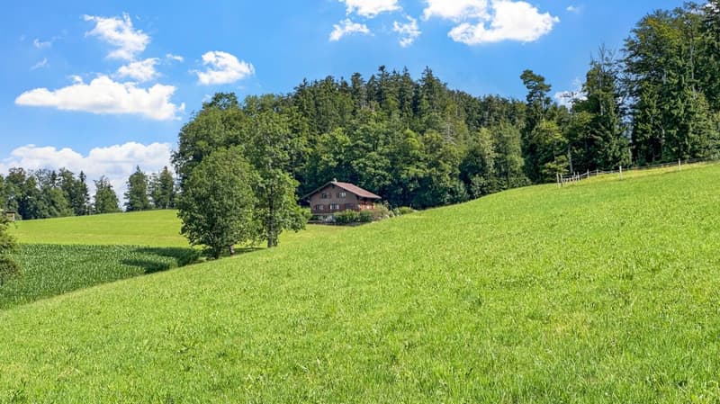 Chalet en bordure de forêt (2)