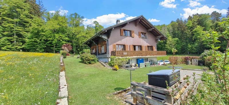Chalet en bordure de forêt (5)