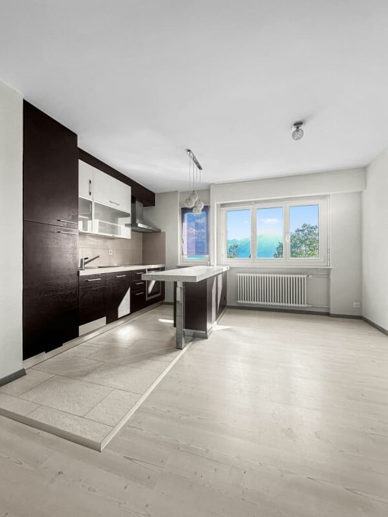 Appartement 2,5pces (4)