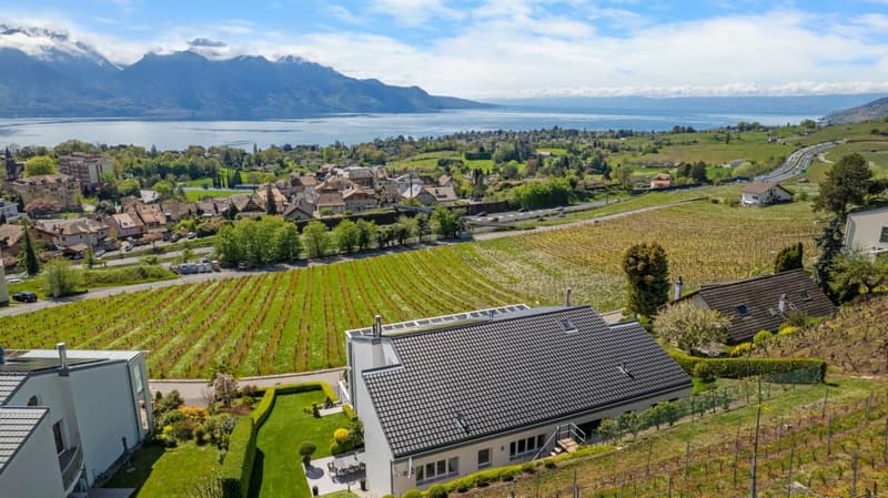 Villa Moderne avec vue panoramique sur le Leman (2)