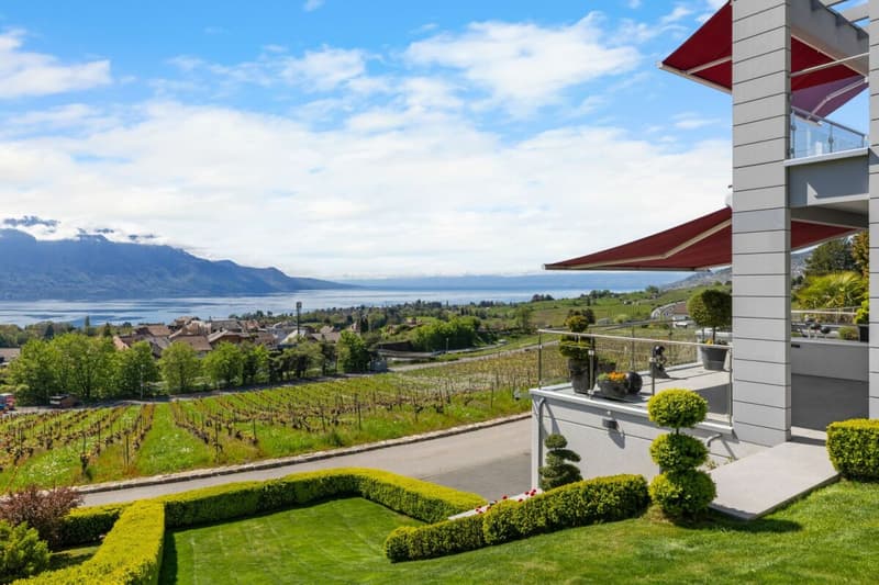 Villa Moderne avec vue panoramique sur le Leman (3)