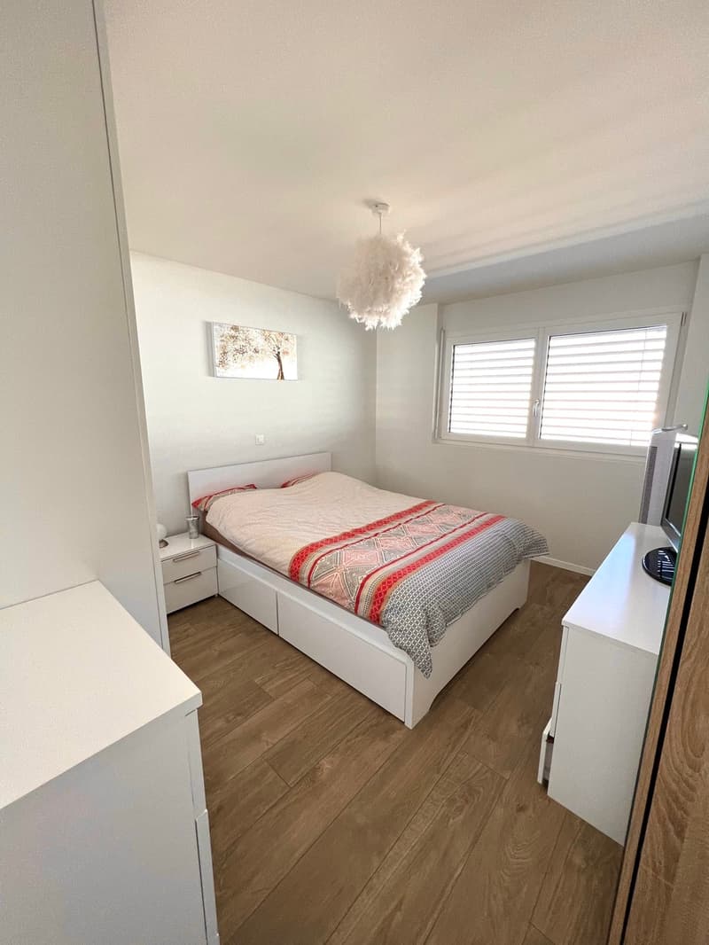 Splendide appartement 2.5 pces avec grand jardin de 100m2 (2)