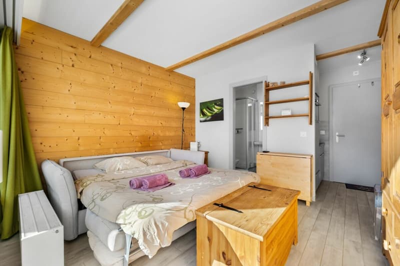 Appartement ski-in ski out de 1.5 pièces (4)