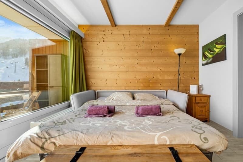Appartement ski-in ski out de 1.5 pièces (2)