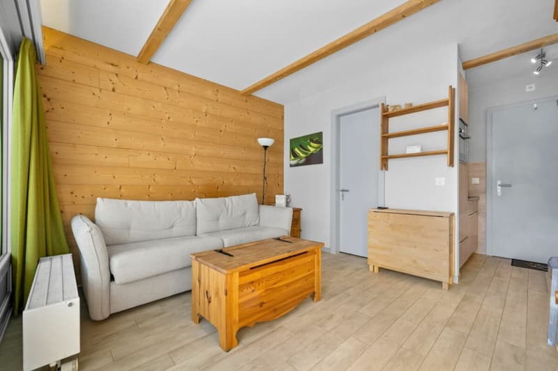 Appartement ski-in ski out de 1.5 pièces (3)