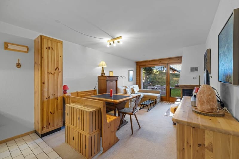 Appartement 1.5 pièces en rez-de-jardin ski in ski out (2)