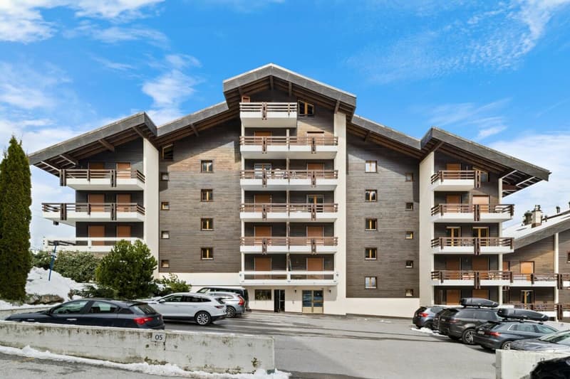 Appartement 1.5 pièces en rez-de-jardin ski in ski out (22)