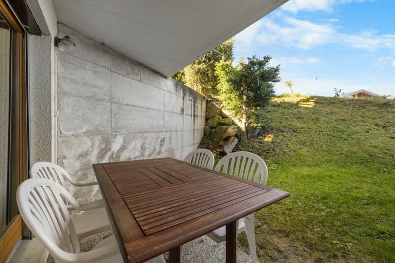 Appartement 1.5 pièces en rez-de-jardin ski in ski out (18)