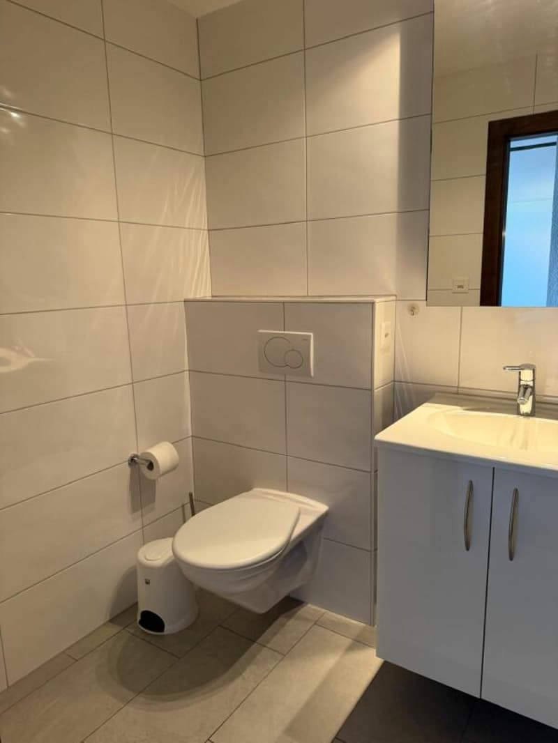 Appartement 2.5 pièces (8)