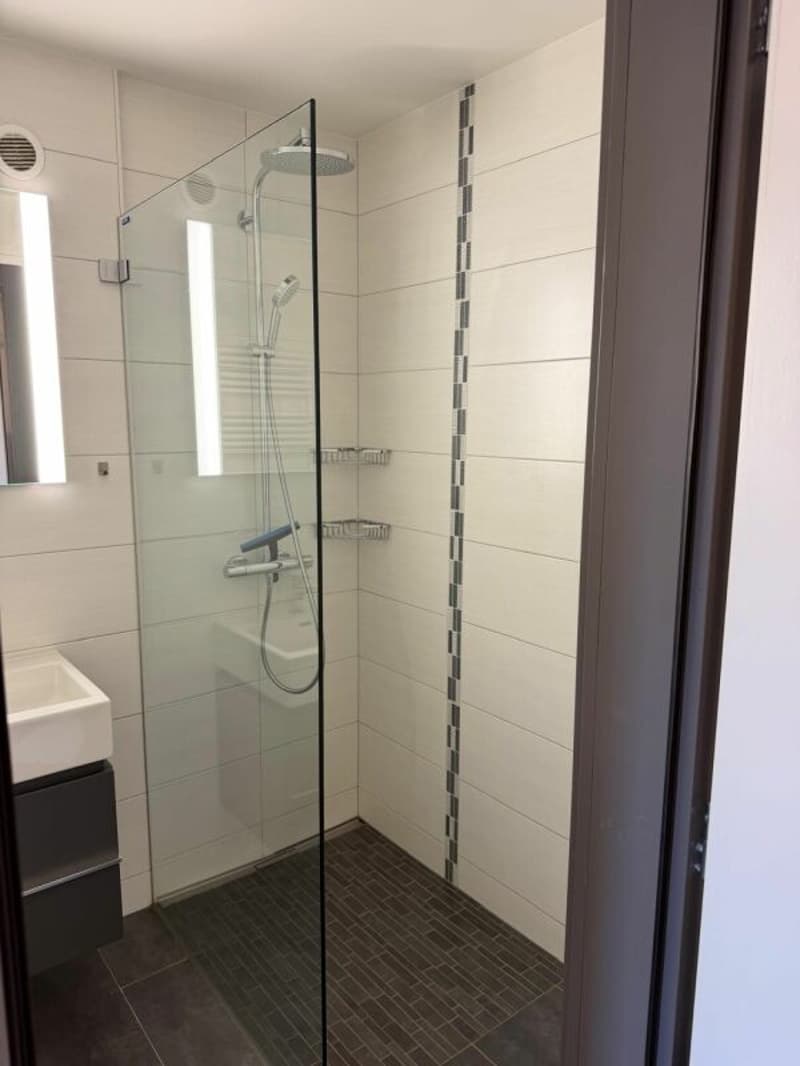 Appartement rénové de 1.5 pièces au centre de la station. (6)
