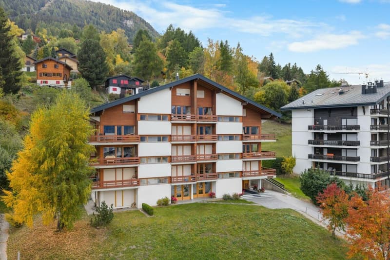Appartement de 2.5 pièces proche des remontées mécaniques (28)