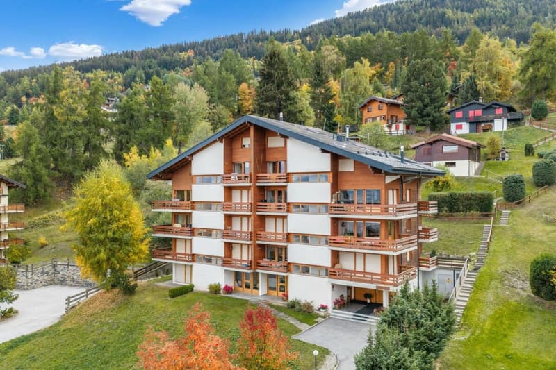 Appartement de 2.5 pièces proche des remontées mécaniques (26)