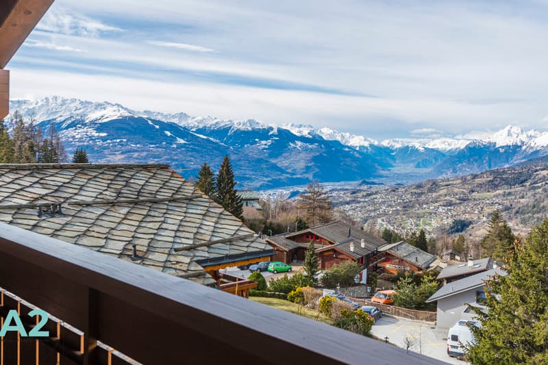 Chalet avec Vue imprenable sur la Vallée et les Alpes (3)