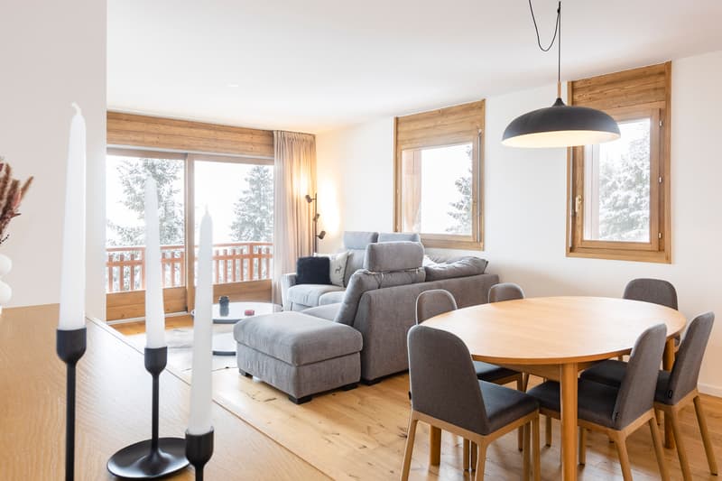 APPARTEMENT ENTIÈREMENT RÉNOVÉ EN LOCATION SEMAINE (3)