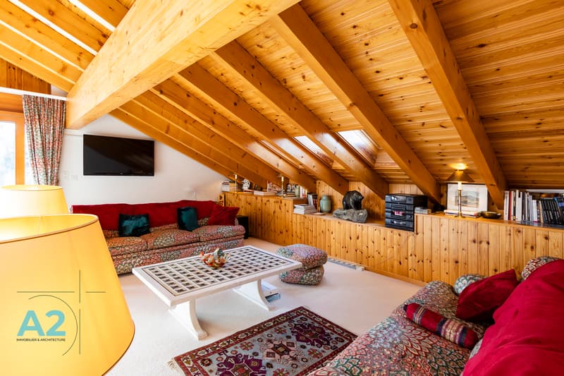 APPARTEMENT DUPLEX EN ATTIQUE EN LOCATION DE VACANCES (4)