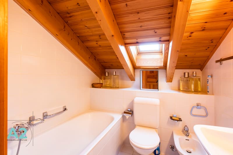 APPARTEMENT DUPLEX EN ATTIQUE EN LOCATION DE VACANCES (9)