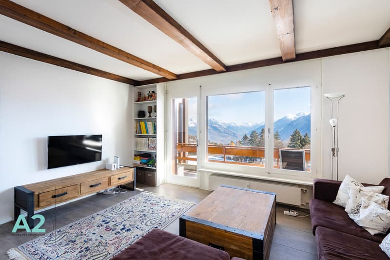 Spacieux 3 pièces rénové avec vue sur les Alpes (8)