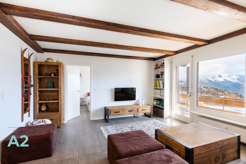 Spacieux 3 pièces rénové avec vue sur les Alpes (12)