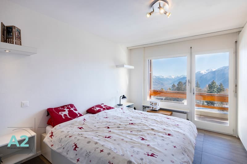 Spacieux 3 pièces rénové avec vue sur les Alpes (7)