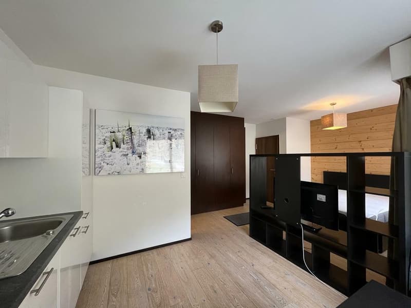 Studio rénové au pied des pistes - A L'ANNÉE (5)