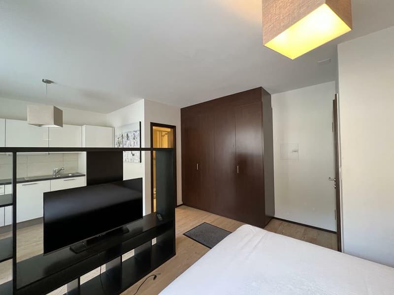 Studio rénové au pied des pistes - A L'ANNÉE (6)