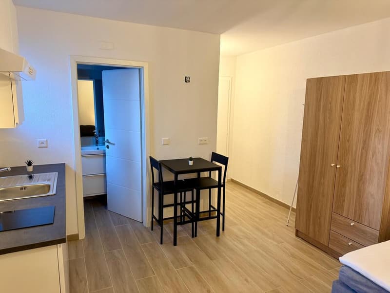 Charmant petit studio rénové - A L'ANNEE (2)