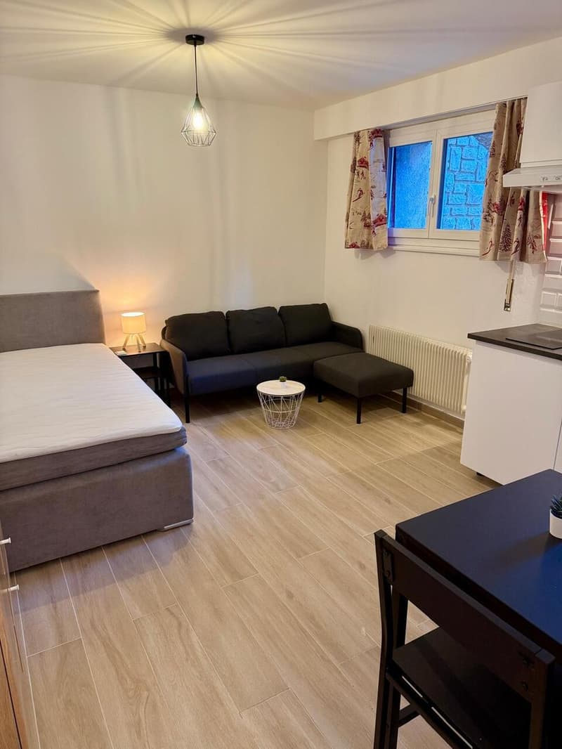 Charmant petit studio rénové - A L'ANNEE (4)