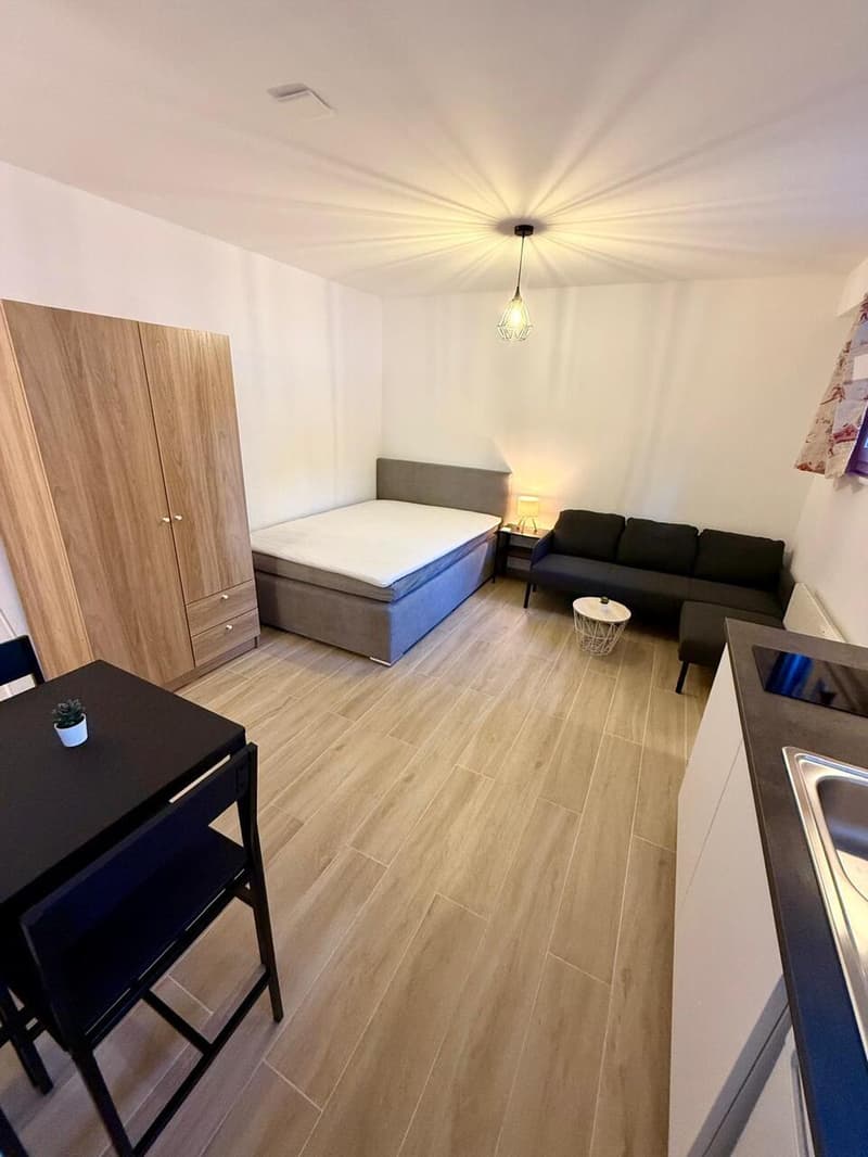 Charmant petit studio rénové - A L'ANNEE (3)