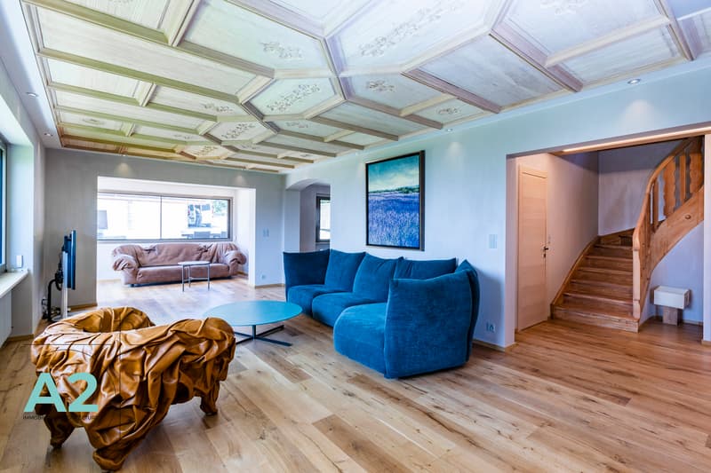 Magnifique chalet entièrement rénové en 2024 (3)