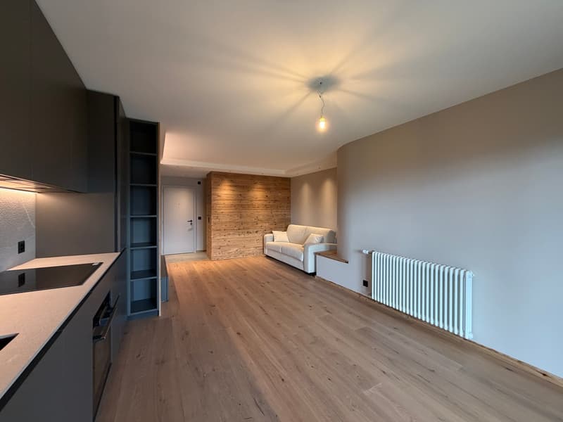 Magnifique appartement rénové en rez-de-jardin (7)