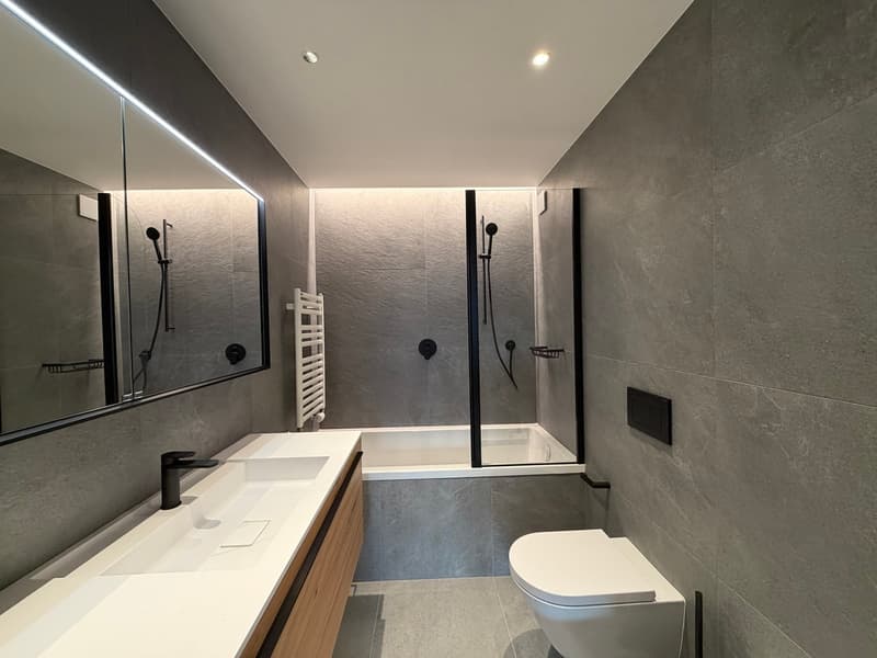 Magnifique appartement rénové en rez-de-jardin (4)