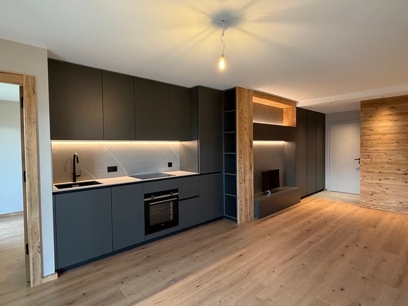 Magnifique appartement rénové en rez-de-jardin (2)