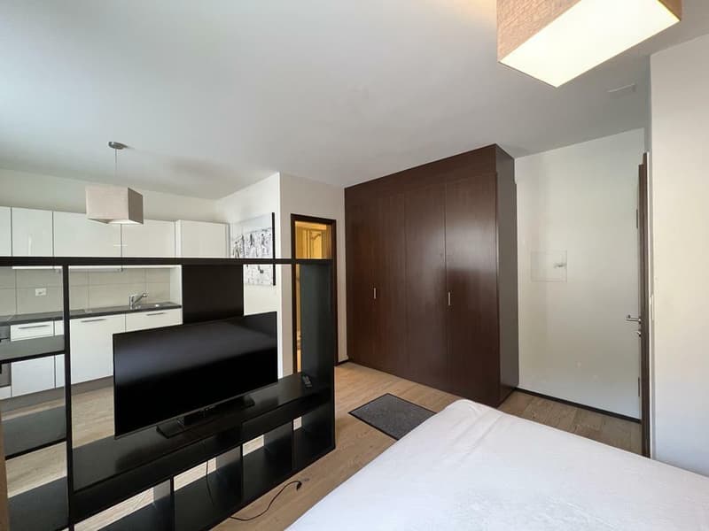Studio rénové au pied des pistes - A L'ANNÉE (4)