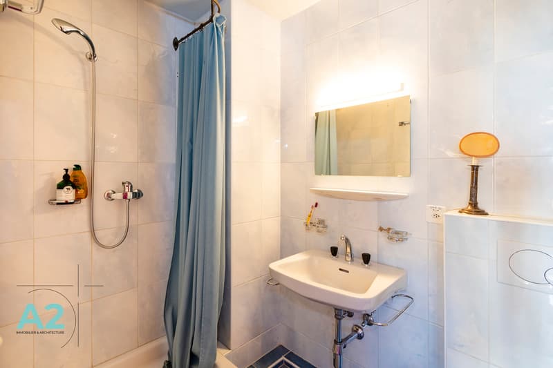 APPARTEMENT AUTHENTIQUE EN PLEIN CENTRE DE CRANS (9)
