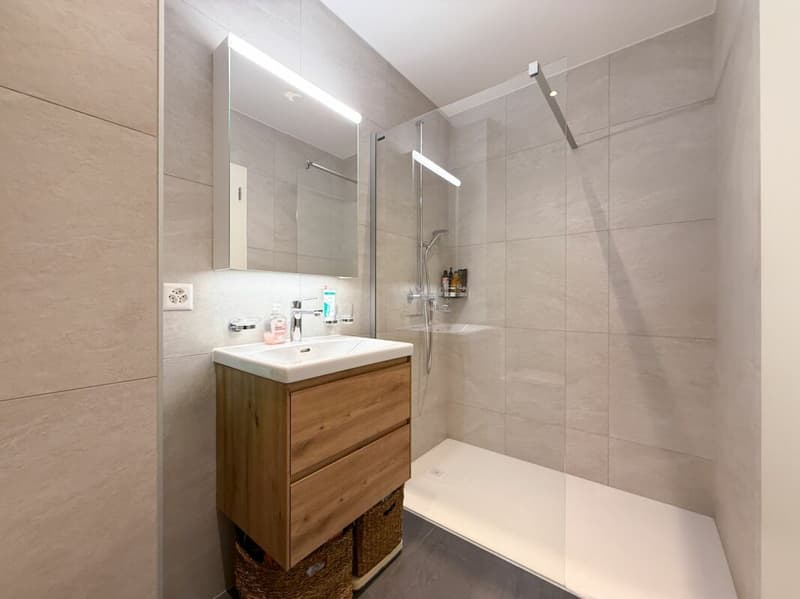 Bel appartement 2.5 pièces à louer à Conthey (6)