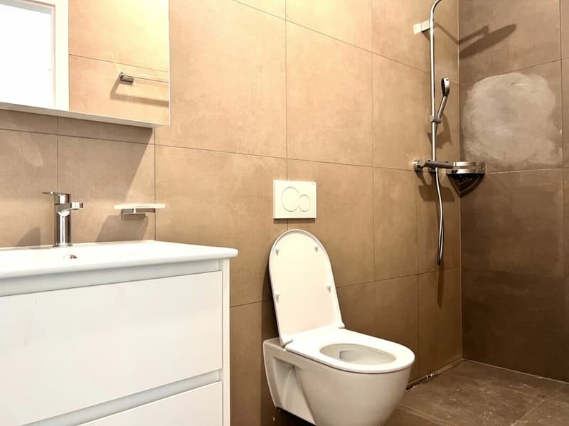 Appartement 2.5 pièces à Monthey (7)