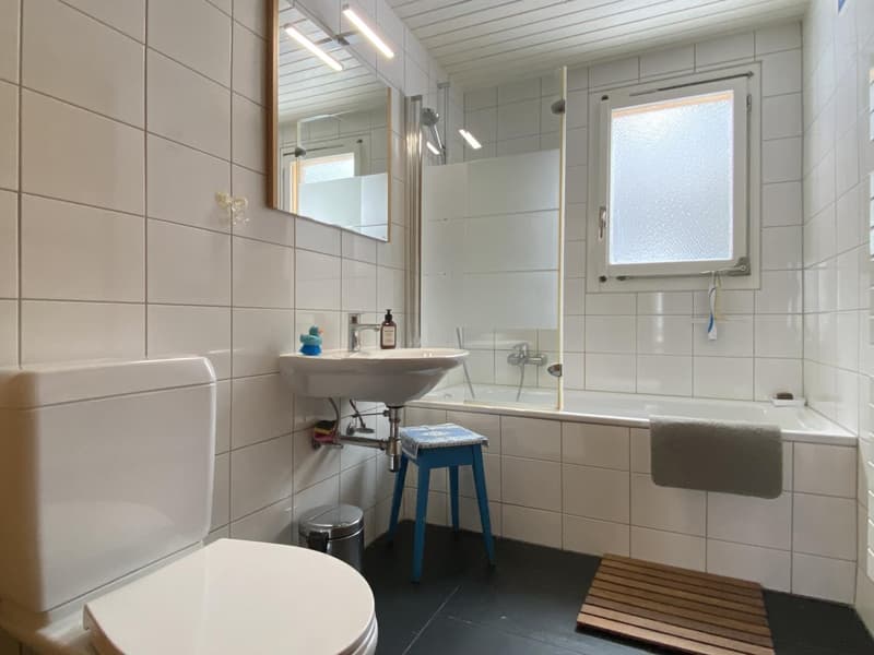 Chalet, 7.0 pièces, 235.00 m2