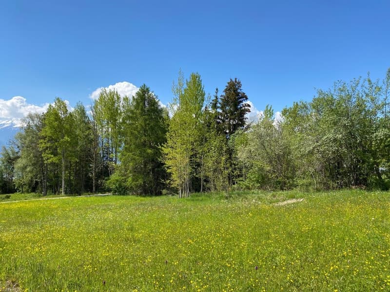Terrain à bâtir , 1221.00 m2