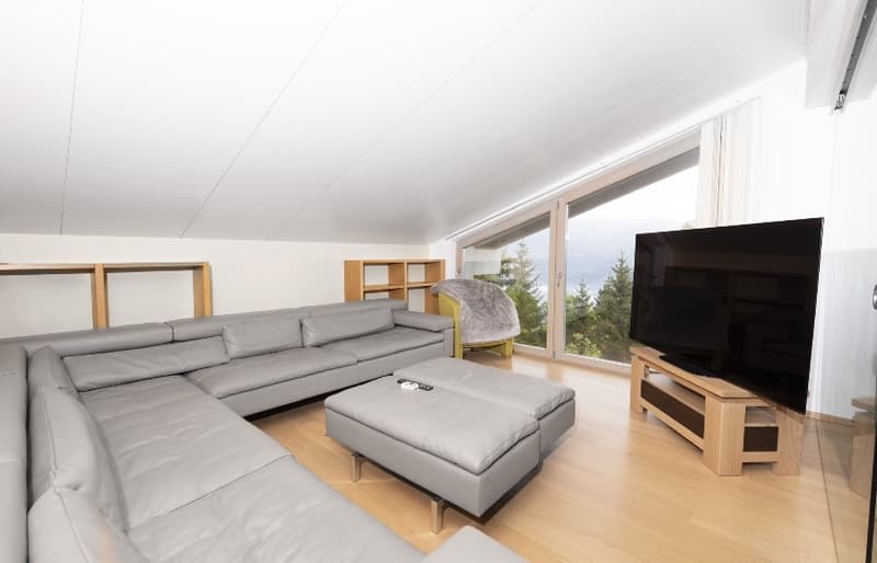 Chalet, 8.5 pièces, 313.00 m2