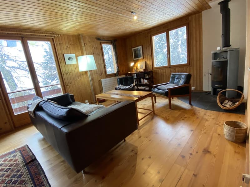 Chalet, 7.0 pièces, 235.00 m2