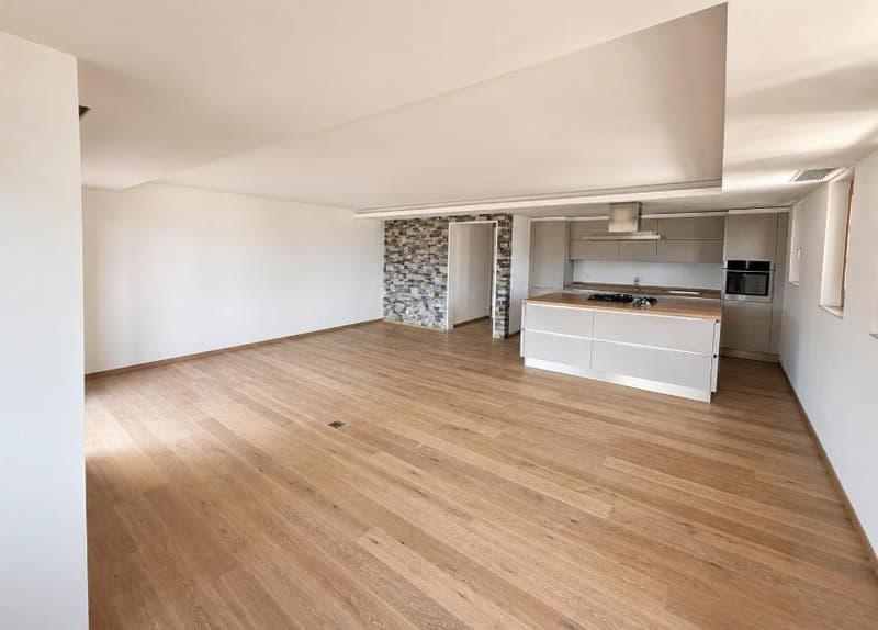 Appartement, 4.5 pièces, 152.00 m2