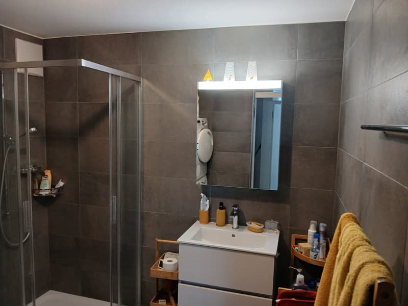 Appartement moderne de 2,5 pièces avec balcon et vue sur les montagnes à Fully (11)