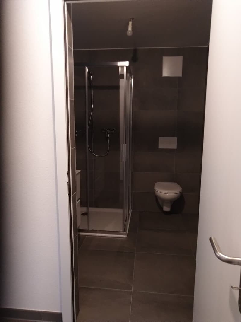 Appartement moderne de 3.5 pièces avec vue sur les montagnes à Fully (12)