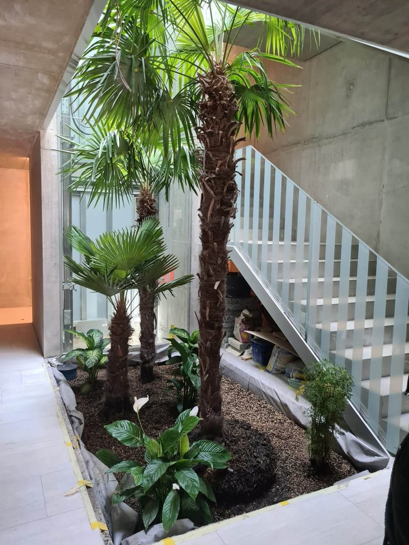 Appartement moderne de 3.5 pièces avec vue sur les montagnes à Fully (3)